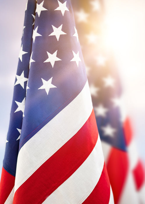 Flagman VIP (Very Important Patriot)