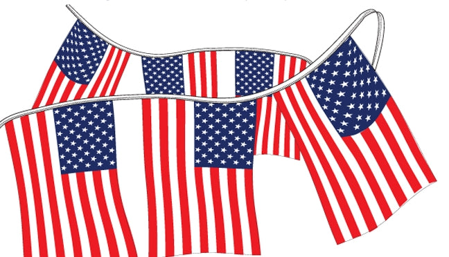 Stars & Stripes Pennant Strings