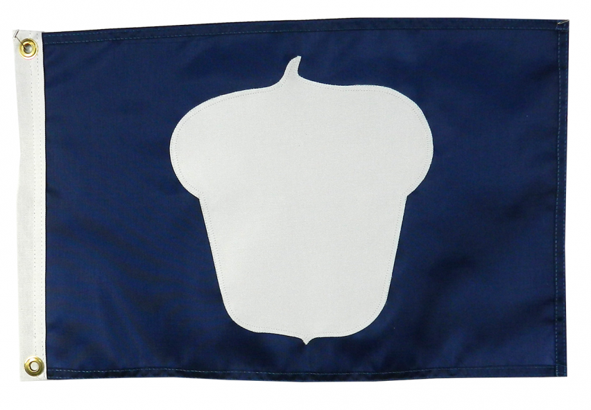 Treasurer Officers' Flag