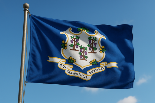 Can you make the flag look more realistic