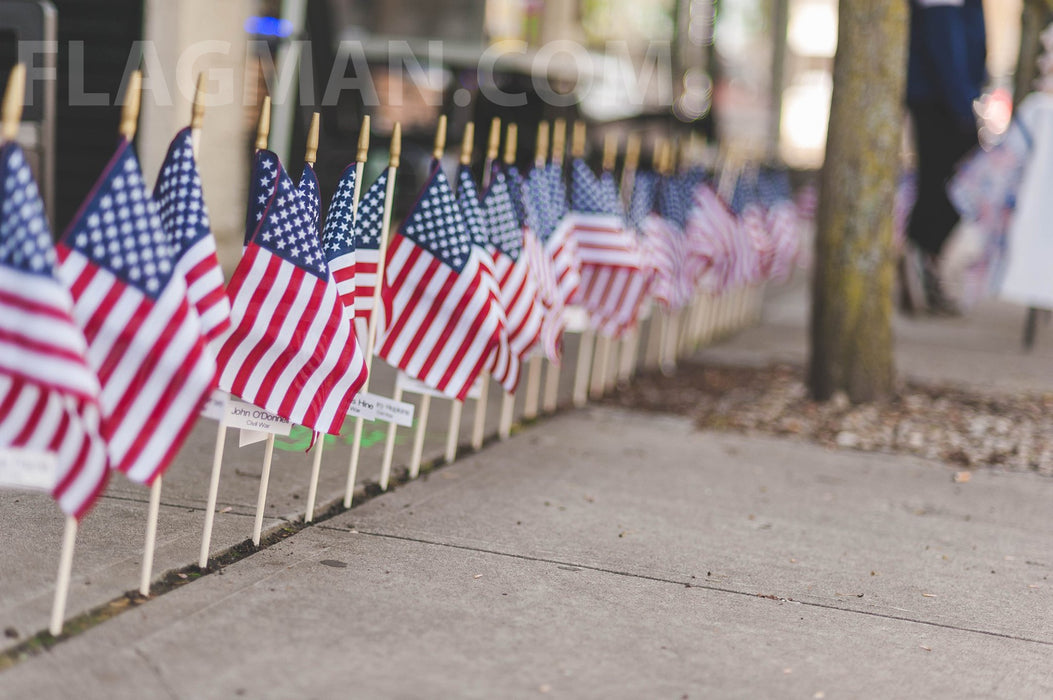 12" x 18" US Cemetery Flag