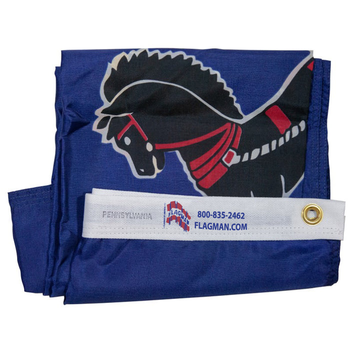 Pennsylvania Outdoor Nylon Flag (Low-Medium Wind Areas)
