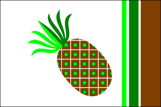 Smiley Face Flag