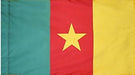 Cameroon Indoor Flag for sale