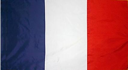 France Indoor Flag for sale