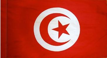 Tunisia Indoor Flag for sale