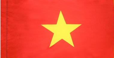 Vietnam Indoor Flag for sale