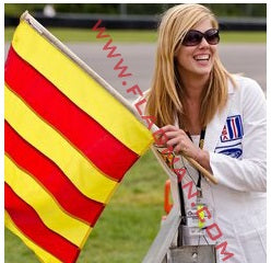 Sewn Surface Racing Flag (Yellow & Red Vertical Stripe)